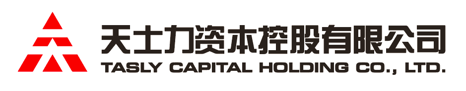 CG电子资本控股有限公司